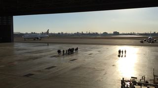 大人も楽しい！