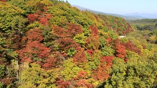 紅葉とドライブ