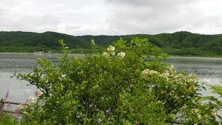 夏なのに寒そうな湖の景色でした