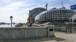 お土産を買いました