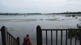 遺跡の見た後ではほっとします