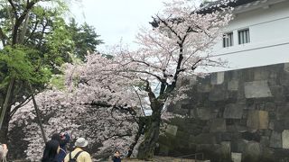桜田門