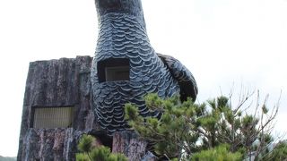 景色よりヤンバルクイナにビックリ！