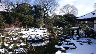 特別公開で若冲も見ることができました。