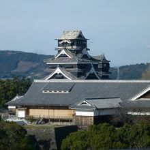 熊本市役所本庁舎からの展望です