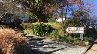 小田原市の歴史が勉強出来ます