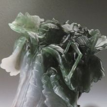 翡翠の白菜のズームアップ。キリギリスが見える。