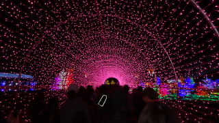 プロジェクションマッピングが綺麗でした