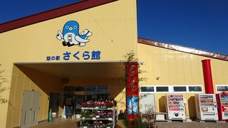 各航空会社のバッジが売られていました。