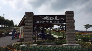 ラベンダー鑑賞