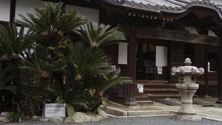 駅の新幹線口から気軽に向かえるお寺。