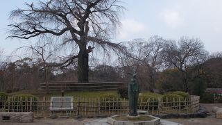 桜の季節がオススメです