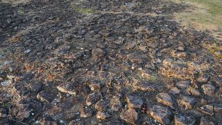 広場はごろた石で敷き詰められていて