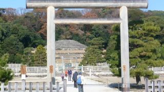 今回は新春に行きました