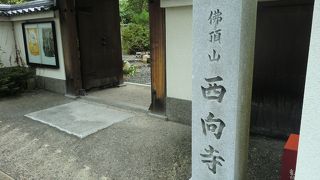 山科の町のお寺