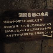 迫力ある潮吹き岩は必見です。