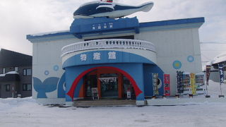 ”クジラ博物館”のテイストでも楽しめます