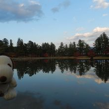 広大な池を有する庭園があります