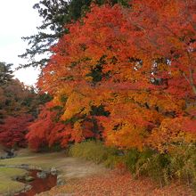 とても素敵な風景でした～！