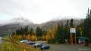 デナリ マウンテン モーニング ホステル & キャビンズ