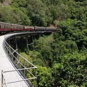 キュランダ高原列車で世界の車窓からの雰囲気を味わいました。