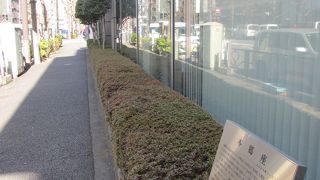 面影はありません