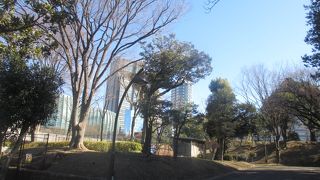 都心で緑豊かな点が良いと思いました