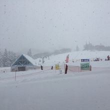 降り続く雪でコースはふかふか♪