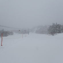 平日だったのでコースはガラガラでした