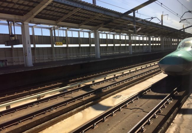 東北新幹線と奥羽東線の乗り換え駅です。