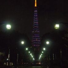 20151112@芝公園　これでも19時頃です