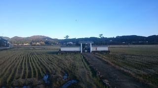 田んぼの真ん中に