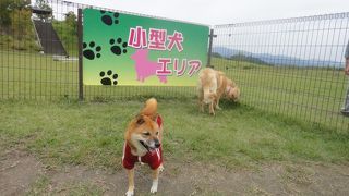 ドッグランで休憩