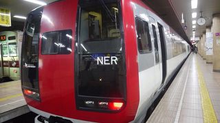 スノーモンキー