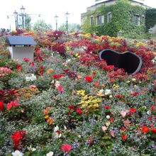 中庭は多くの花が。