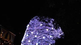 仙台ウィンターパーク スターライトリンク