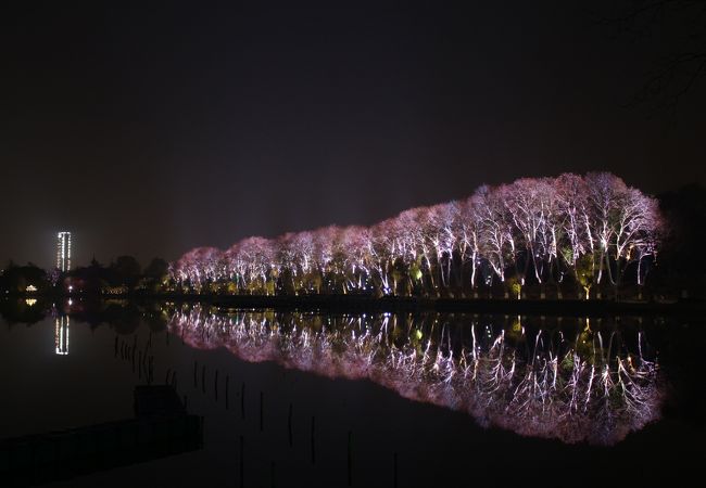 玄武湖公園