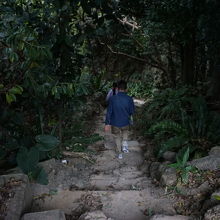 こんな道を下ります