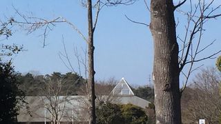 駐車場、入園無料で一日遊べる