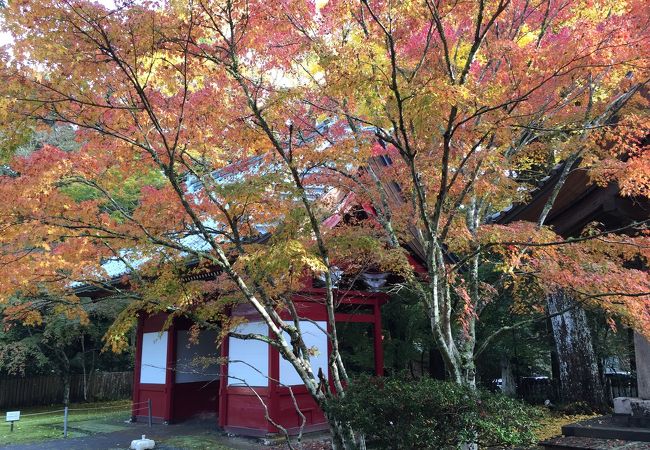 小松寺 千葉県南房総市 クチコミ アクセス 営業時間 千倉 フォートラベル