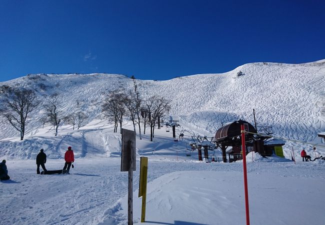 初滑りの代名詞