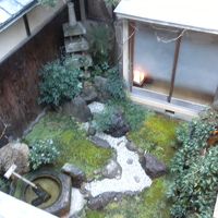 縁側からの坪庭の眺め。