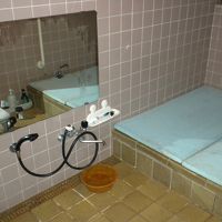 朝撮ったので蓋がされています。カランは二つ。タイル張り。