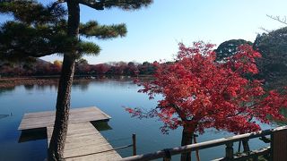 紅葉シーズンにおすすめ