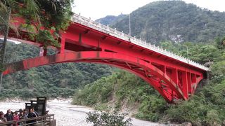 早朝の散歩で誰もいない！最高！