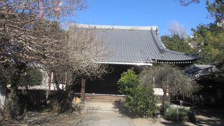 都立青山高校の南側にある浄土宗の寺院です