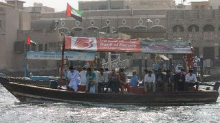 アブラと部屋からの眺め 