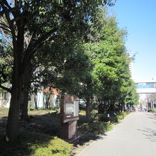 ３右側は聖路加国際病院、先は明石小学校