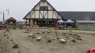 体験農園楽しめます