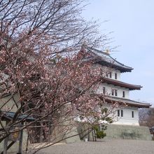 早咲きの桜が少しだけ咲いていました